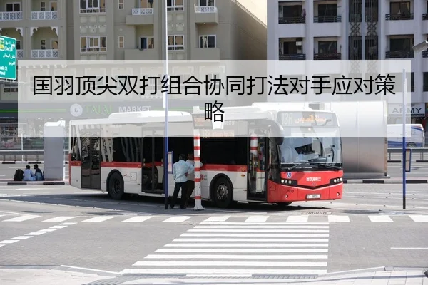guo-yu-ding-jian-shuang-da-zu-he-xie-tong-da-fa-dui-shou-ying-dui-ce-lve-2-315.jpg